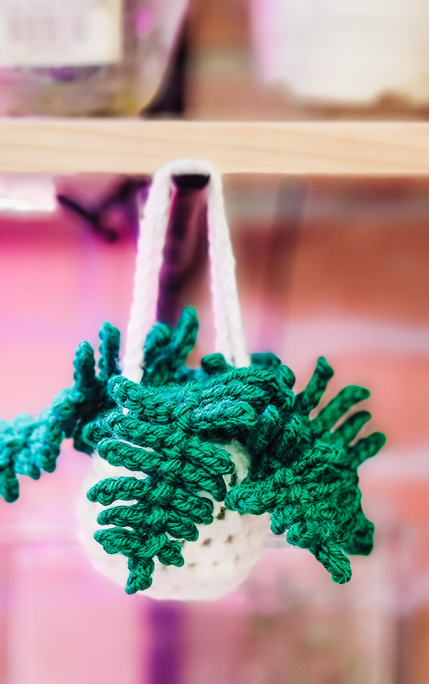 Crochet Fern