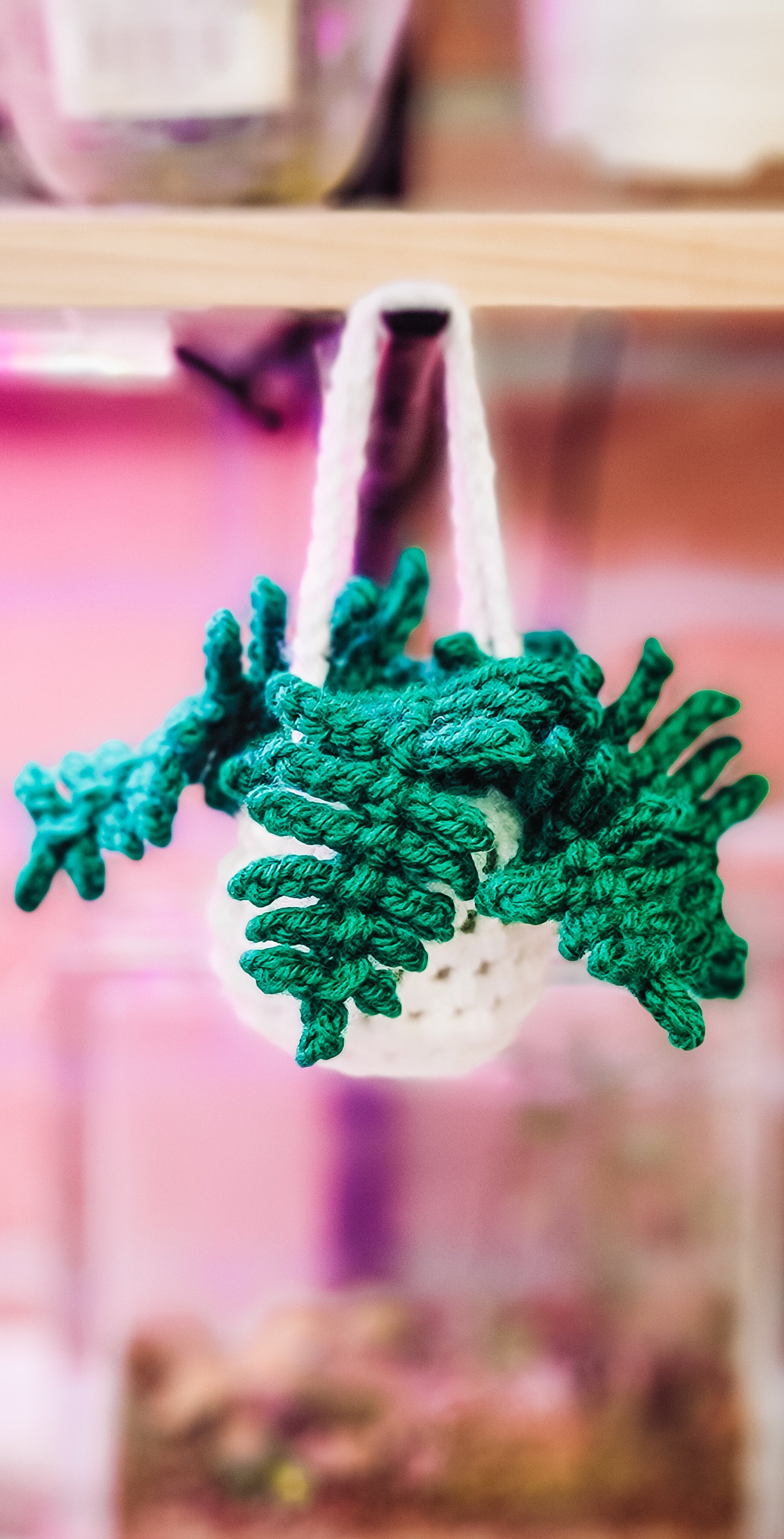 Crochet Fern