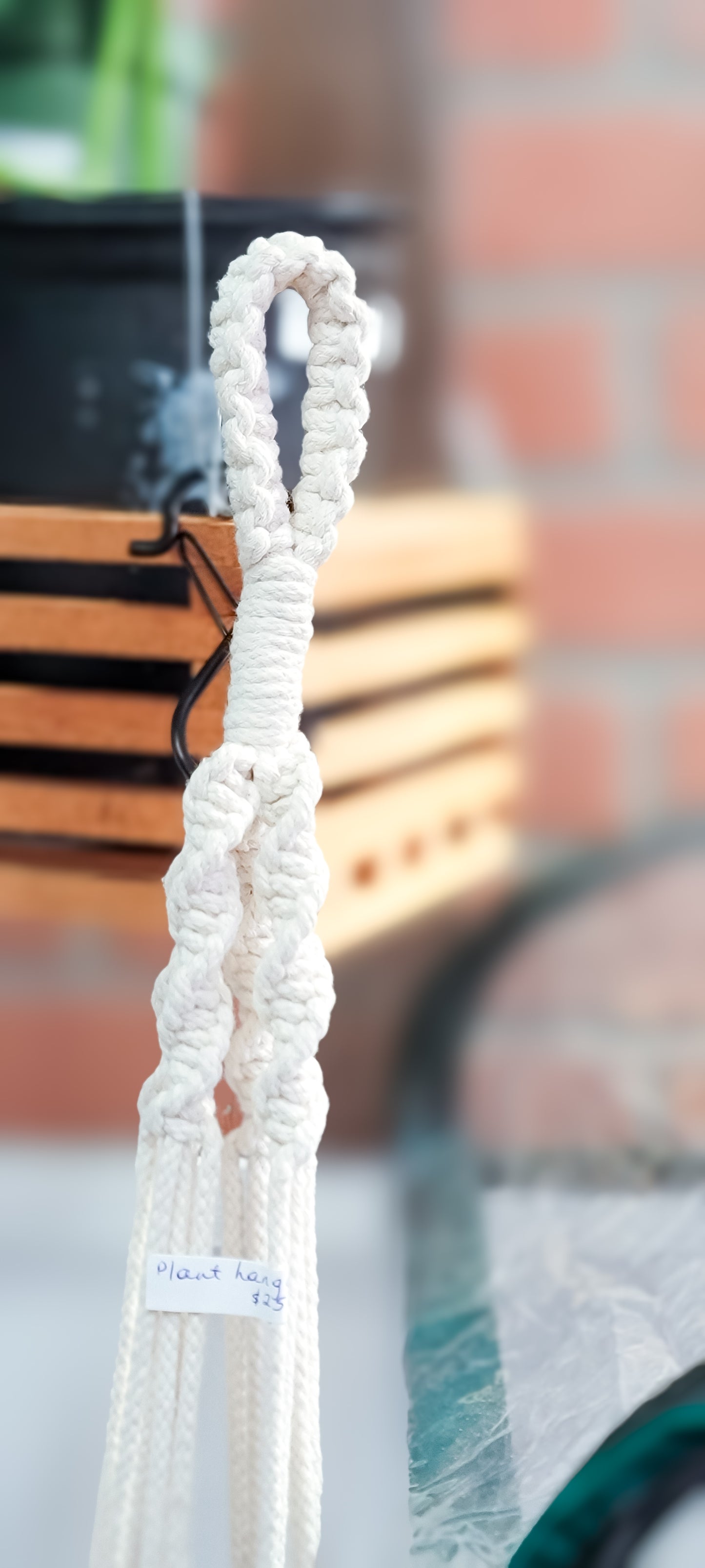 Macrame Plant Hanger