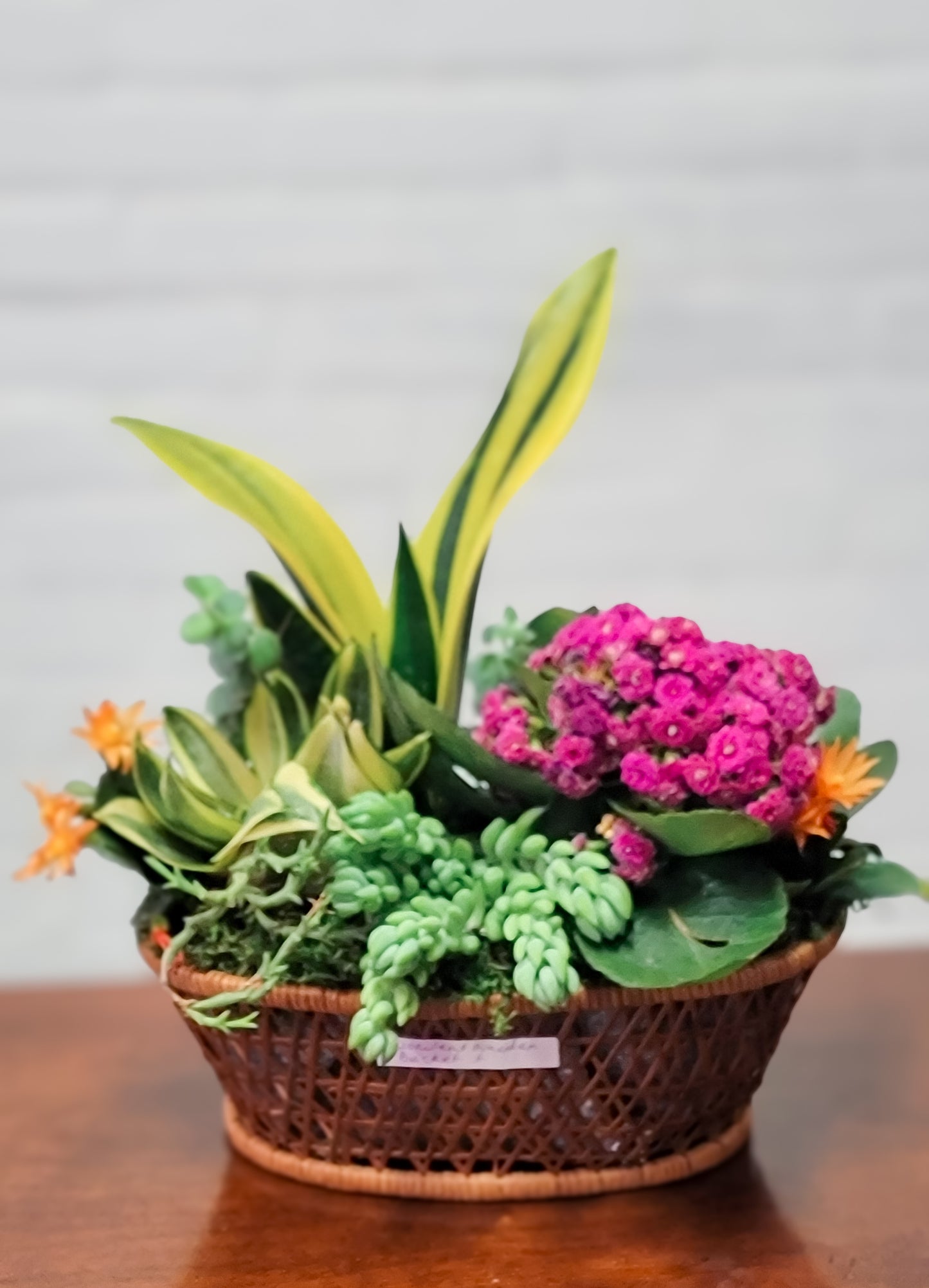 Succulent Garden Basket