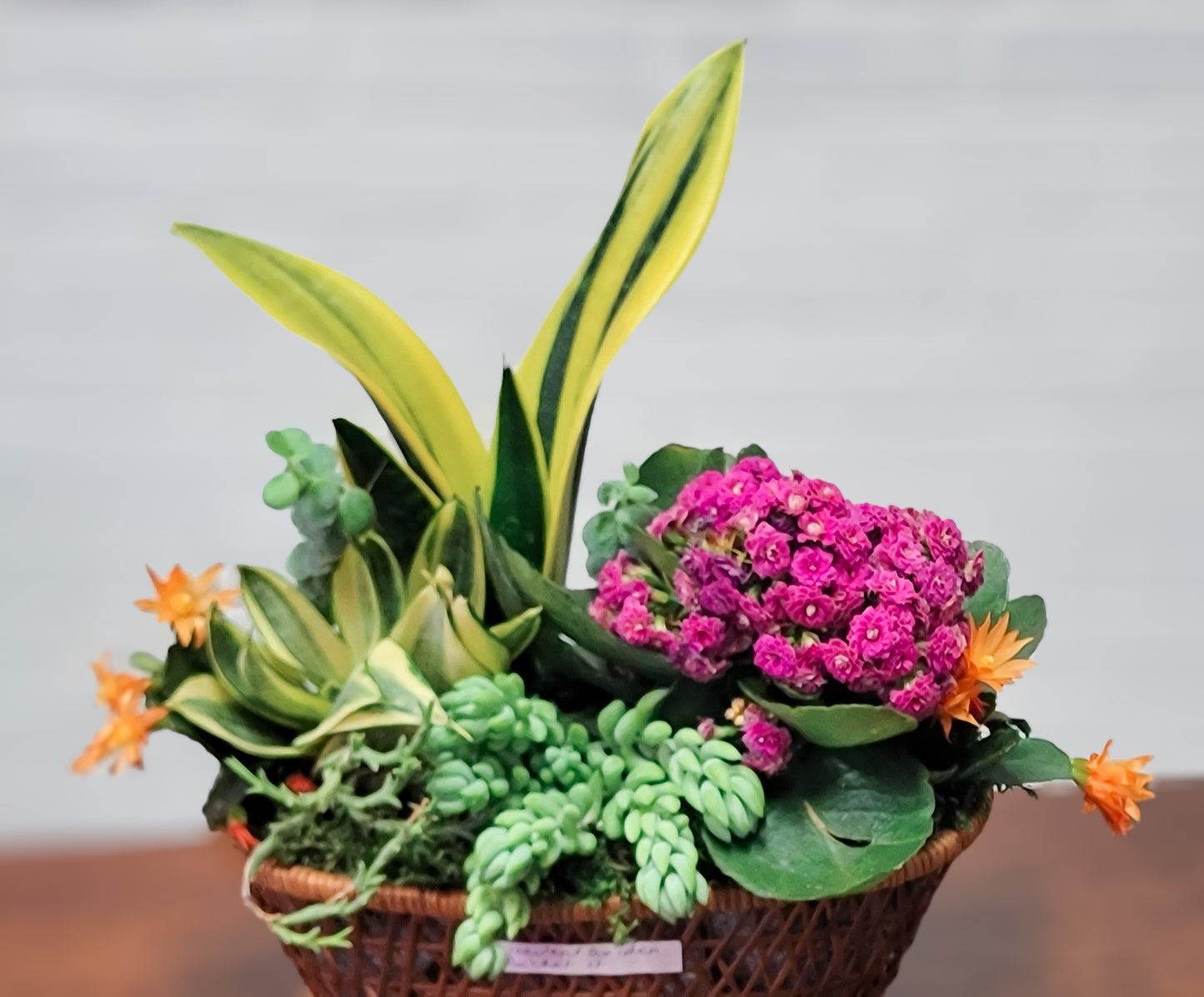 Succulent Garden Basket