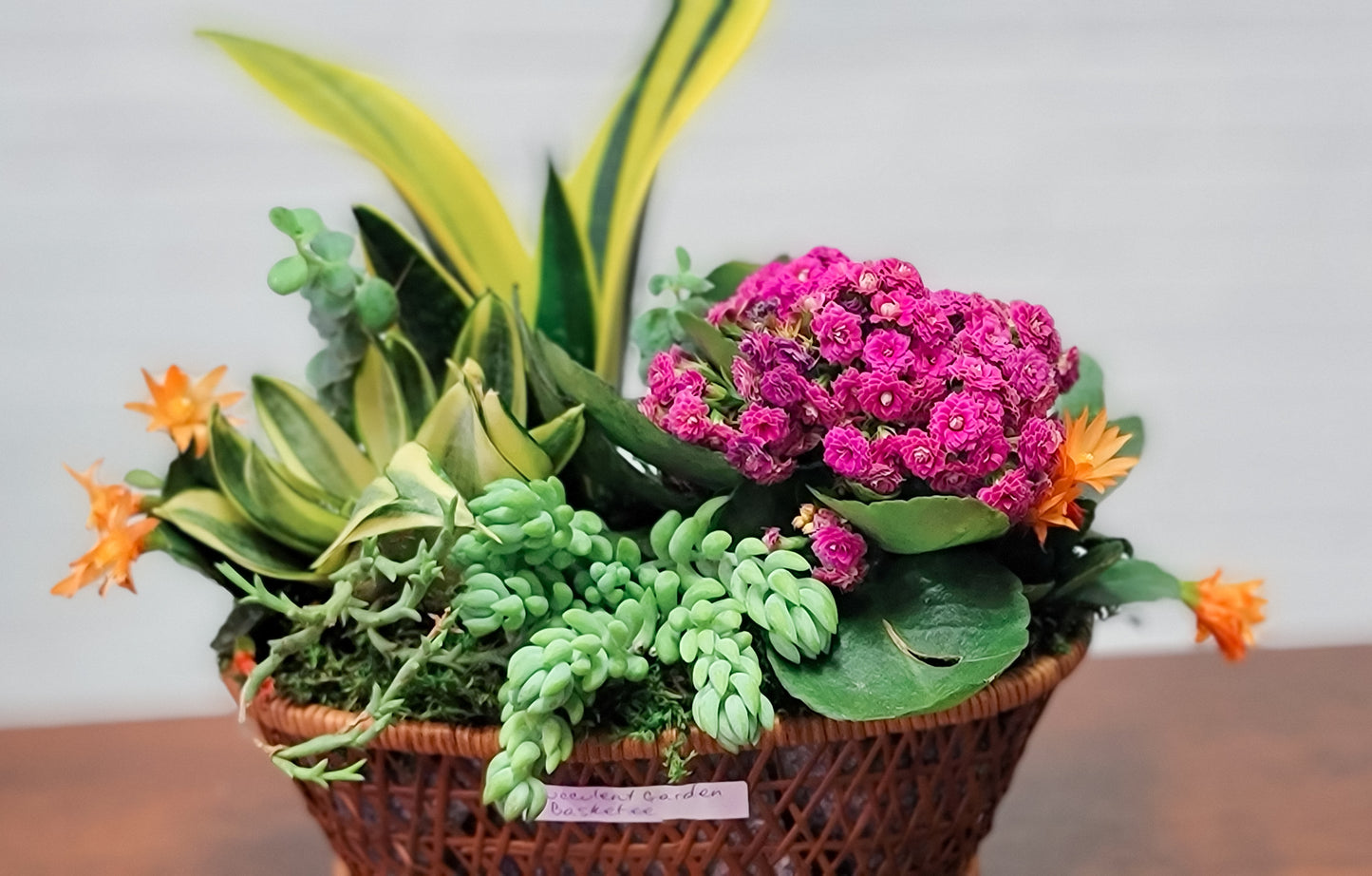 Succulent Garden Basket