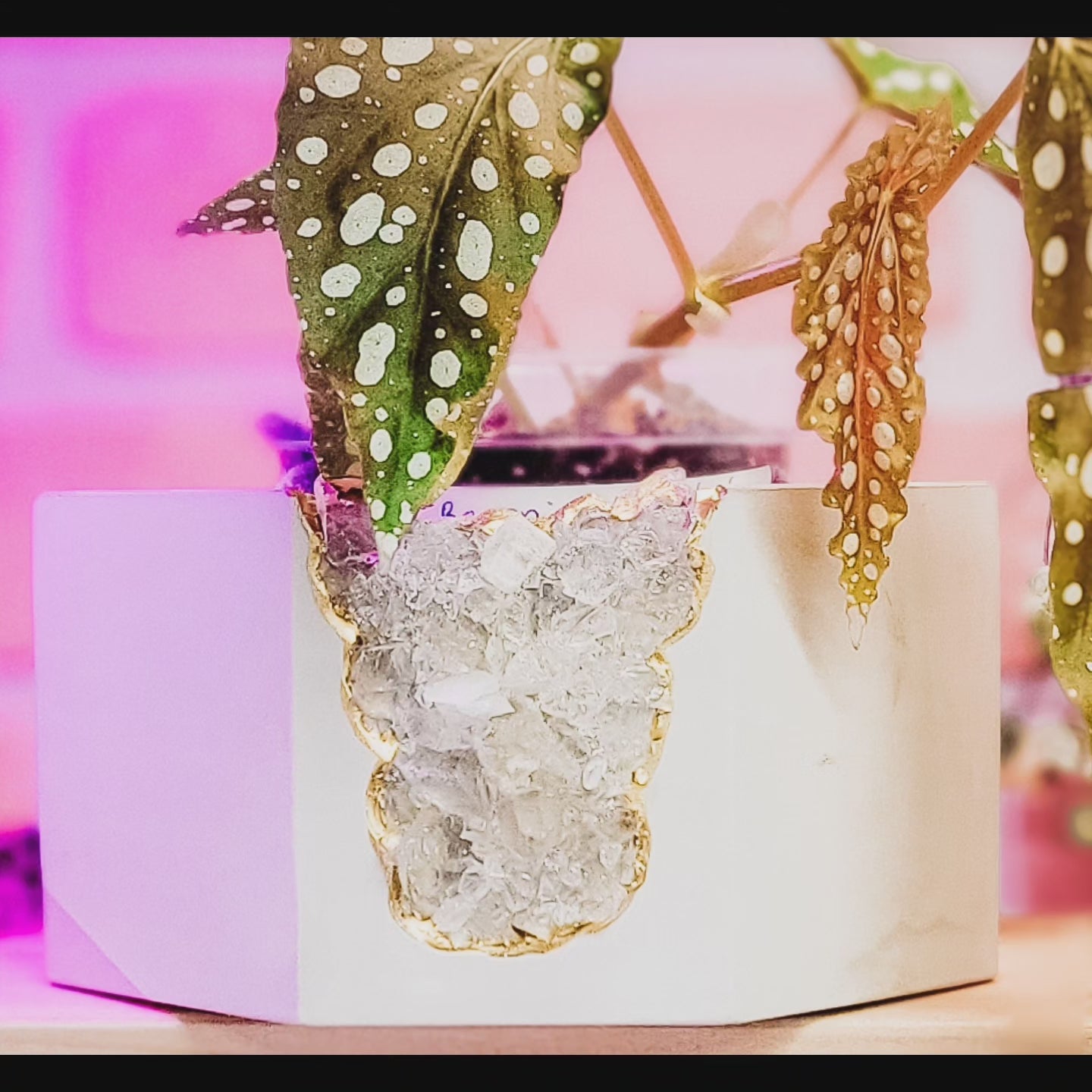 Raw Clear Quartz Geode Planter