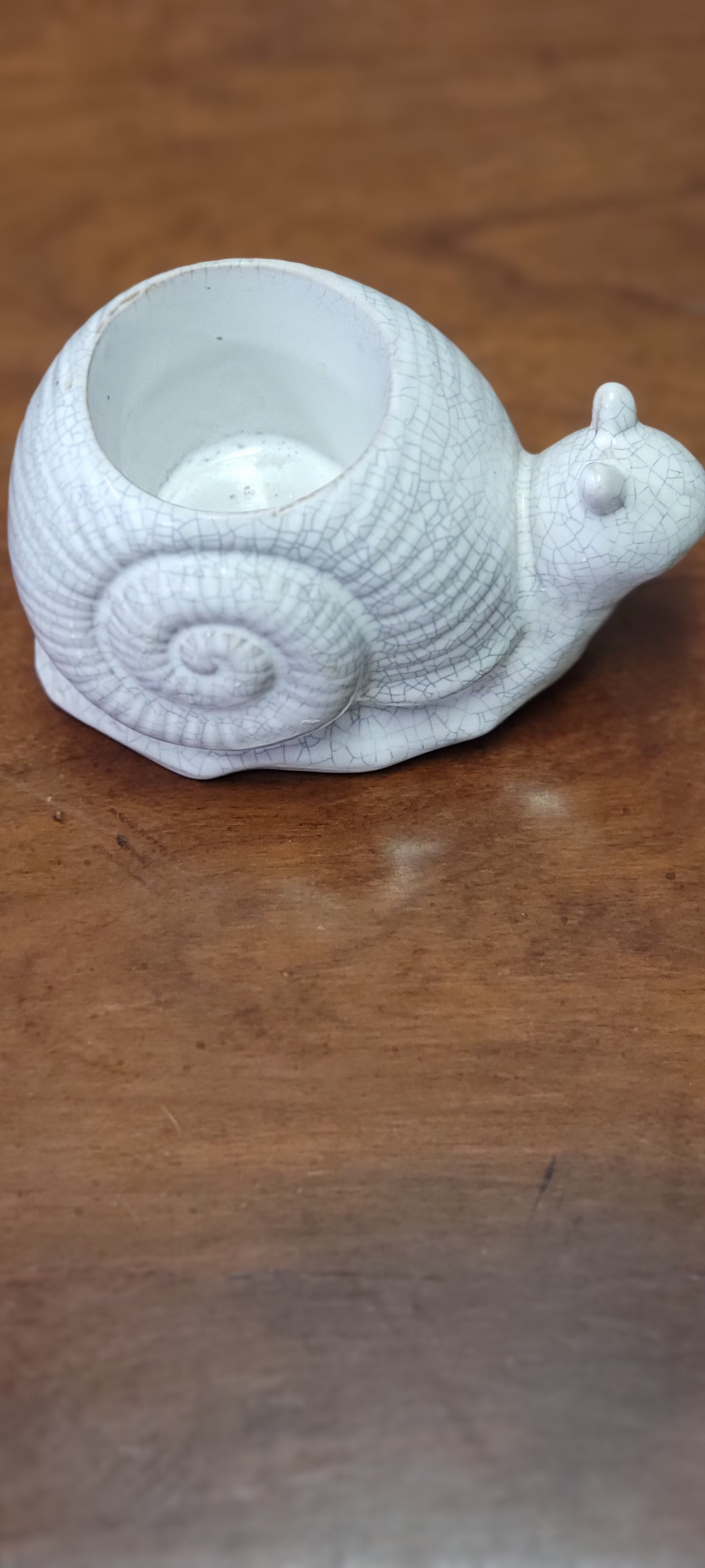 Snail Planter