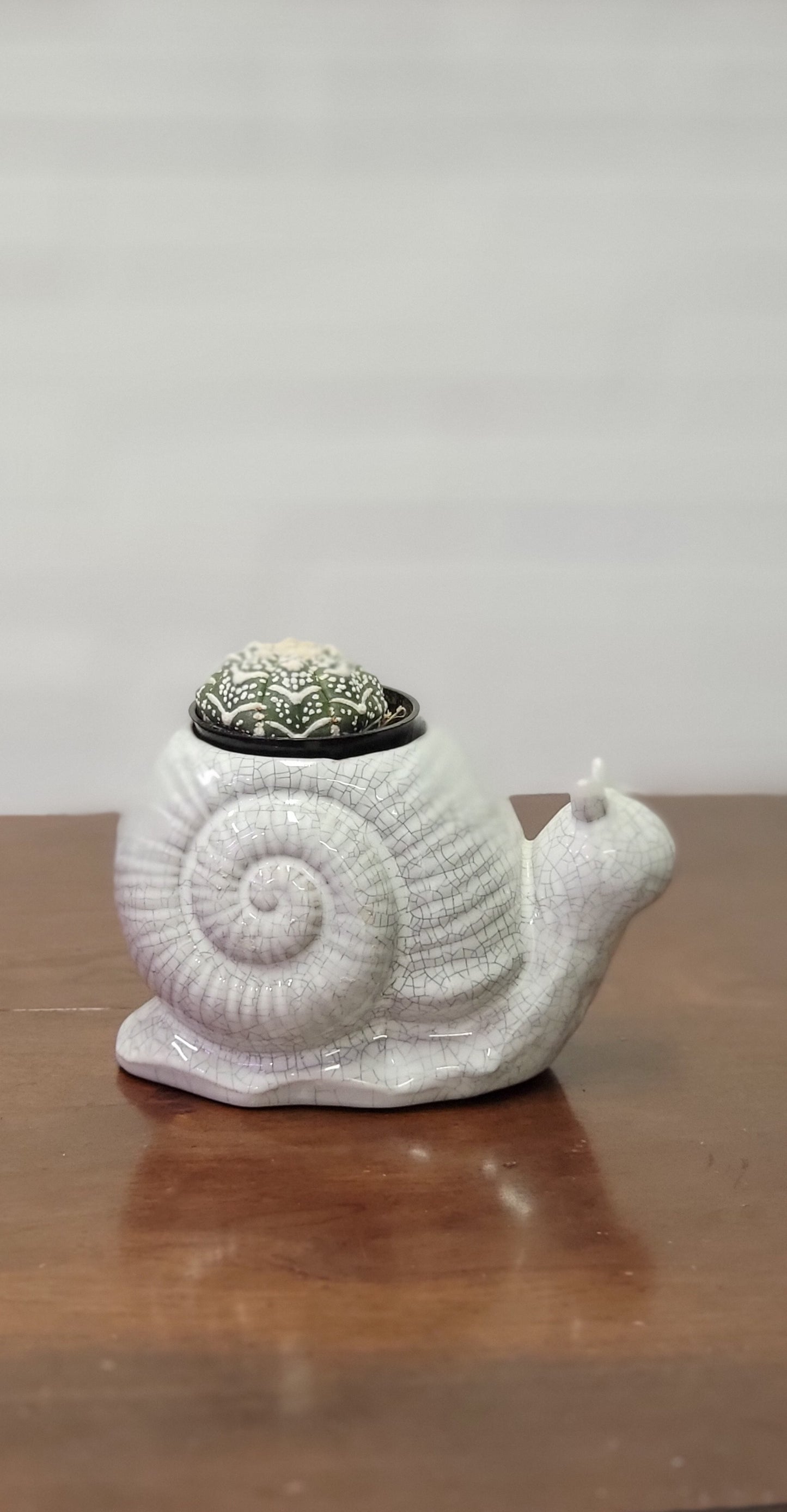 Snail Planter